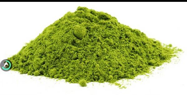 Moringa