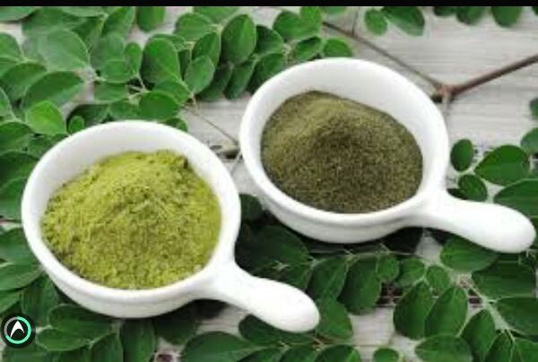 Moringa